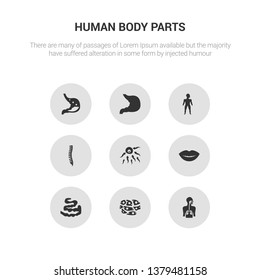 9 round vector icons such as respiratory system, skin cells, small intestine, smiling mouth showing teeth, sperms contains spine bone, standing human body, stomach, stomach with liquids. respiratory