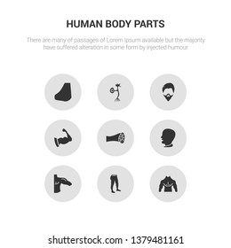 9 round vector icons such as men chest, men leg, men shoulder, mouth open, muscle fiber contains muscular arm, mustache curled tip variant, neuron, nose side view. chest, leg, icon3_, gray human