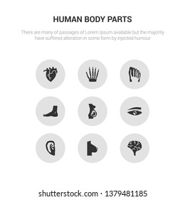 9 round vector icons such as human brain, human breast, human ear, eyebrow, fetus contains foot, footprints, hand bones, heart. brain, breast, icon3_, gray body parts icons