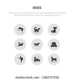 9 round vector icons such as mexican hairless dog dog, mudi dog, newfoundland norfolk terrier nova scotia duck tolling retriever contains otterhound papillon pekingese, pitbull.