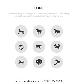 9 round vector icons such as great dane dog, great pyrenees dog, greyhound dog, havanese hovawart contains husky irish setter irish terrier italian greyhound great dane pyrenees icon3_, gray dogs