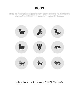 9 round vector icons such as barbet dog, basenji dog, basset hound dog, beagle beauceron contains bergamasco berger picard. bernese mountain, bichon frise, barbet basenji.