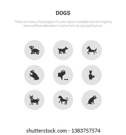 9 round vector icons such as bulldog, cane corso dog, chihuahua dog, chinook dog, chow chow contains cockapoo cocker spaniel corgi coton de tulear bulldog, cane corso.