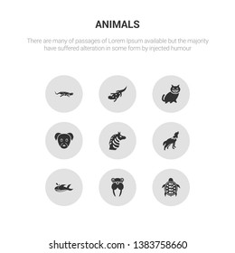 9 round vector icons such as turtle, walrus, whale, wolf, zebra contains puppy, kitten, salamander, iguana. turtle, walrus, icon3_, gray animals icons