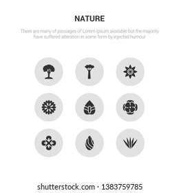 9 round vector icons such as acicular, almond, alstroemeria, anemone, anthurium contains aster, astrantia, baobab, beech. acicular, almond, icon3_, gray nature icons