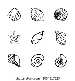 9 shell icons set in outline style. For web, print and creative design. Vector illustration