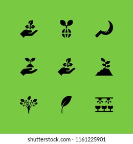 9 soil icons in vector set. sprout, hand holding up a sprout, agriculture and farming and gardening illustration for web and graphic design
