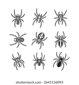 9 Spider icon vector in grid, vector black isolated on white, free for use and editing.