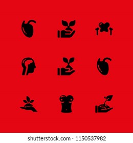 9 sprout icons in vector set. plant on a hand, seed, growth and biology illustration for web and graphic design