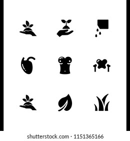 9 sprout icons in vector set. seeds, biology, plant and plant on a hand illustration for web and graphic design