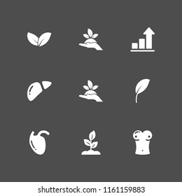 9 sprout icons in vector set. plant on a hand, growth, biology and plant illustration for web and graphic design