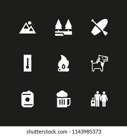 9 summer icon set with donkey, surf and bonfire vector illustration for graphic design and web