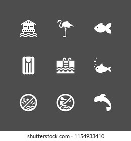 9 swimming icons in vector set. swimming pool, pool, air mattress and flamingo illustration for web and graphic design