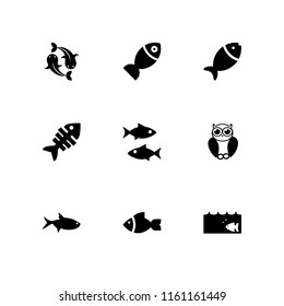 9 tail icons in vector set. fish and bird illustration for web and graphic design