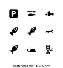 9 tail icons in vector set. fish, car parking, fox and rat illustration for web and graphic design