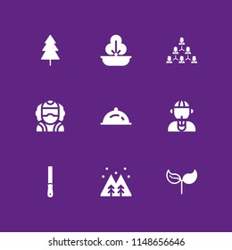 9 tree icon set with tree, cut and forest vector illustration for graphic design and web