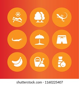 9 tropical icons in vector set. beach, alligator, orange juice and swimsuit illustration for web and graphic design