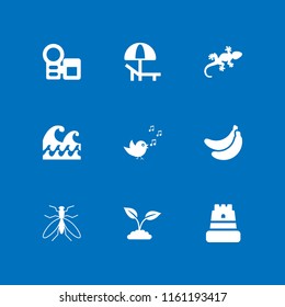 9 tropical icons in vector set. beach, ocean, plant with leaves and banana illustration for web and graphic design