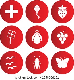 9 Universal icon for your project
   