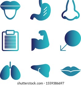 9 Universal icon for your project
   