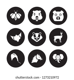 9 vector icon set : Bee, Beaver, Anteater, Antelope, Badger, Bear, Bat, Alpaca isolated on black background