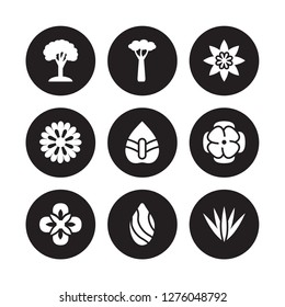 9 vector icon set : Beech, Baobab, Alstroemeria, Anemone, Anthurium, Astrantia, Aster, Almond isolated on black background