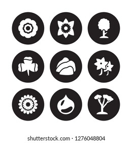 9 vector icon set : Dahlia, Daffodil, Chrysanthemum, Clematis, Cliff, Cypress, Clover, Chestnut isolated on black background