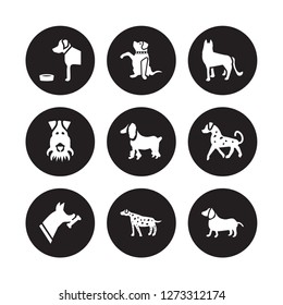 9 vector icon set : Golden Retriever dog, Goldador Doberman English Setters Field Spaniel German Shepards Fox Terrier Dalmatian dog isolated on black background