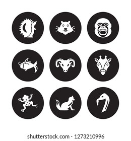 9 vector icon set : Hedgehog, Hamster, Frog, Giraffe, Goat, Gorilla, Goldfish, Fox isolated on black background