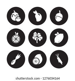 9 vector icon set : Mangosteen, Mango, Leek, Lemon, Lettuce, Lychee, Lime, Kiwi isolated on black background