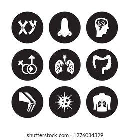 9 vector icon set : Masculine Chromosomes, Male nose of a line, Kneecap, Large Intestine, Lungs with the trachea, head side view brains isolated on black background