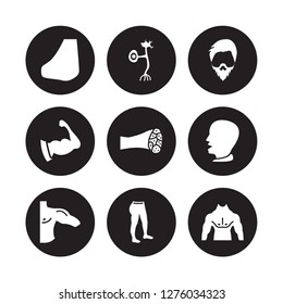 9 vector icon set : Nose Side View, Neuron, Men Shoulder, Mouth Open, Muscle Fiber, Mustache curled tip variant, Muscular arm, Leg isolated on black background