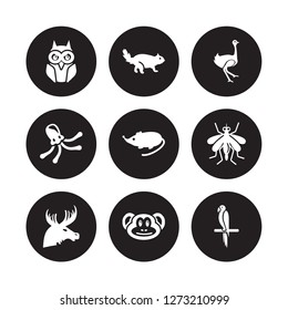 9 vector icon set : Owl, Otter, Moose, Mosquito, Mouse, Ostrich, Octopus, Monkey isolated on black background