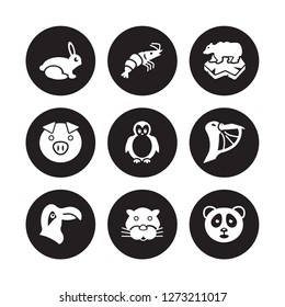 9 vector icon set : Rabbit, Prawn, Parrot, Pelican, Penguin, Polar bear, Pig, Panther isolated on black background