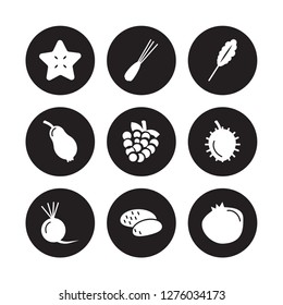 9 vector icon set : Star fruit, Spring onion, Radish, Rambutan, Raspberry, Spinach, Rose apple, Potato isolated on black background