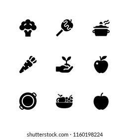 9 vegetable icons in vector set. fruit, vegan, carrot and paella illustration for web and graphic design