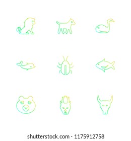 9 Web Icon set
