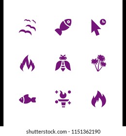 9 wild icons in vector set. desert, wasp, bird and fire illustration for web and graphic design