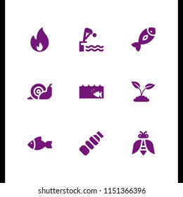 9 wild icons in vector set. fire, wasp, snail and plastic illustration for web and graphic design