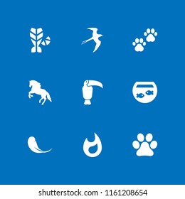 9 wild icons in vector set. animal prints, bird, fire and animal paw print illustration for web and graphic design
