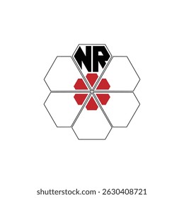 906 diamond shape alphabet letter pentagon geometric educational learning flower logo N R