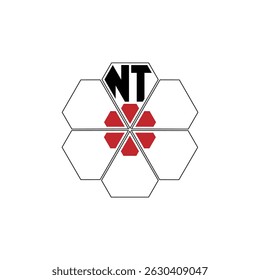 908 diamond shape alphabet letter pentagon geometric educational learning flower logo N T