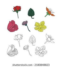 90s vintage wild flower line art colorful vector illustration pack 
suitable for oldschool style content, florist logo, comic, pattern