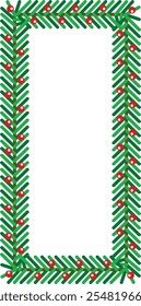 9:16 frame of branch from christmas tree with red berries