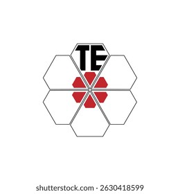 944 diamond shape alphabet letter pentagon geometric educational learning flower logo T E