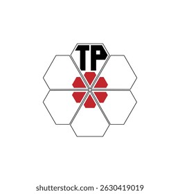 949 diamond shape alphabet letter pentagon geometric educational learning flower logo T P