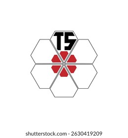 951 diamond shape alphabet letter pentagon geometric educational learning flower logo T S