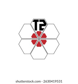 955 diamond shape alphabet letter pentagon geometric educational learning flower logo T Z