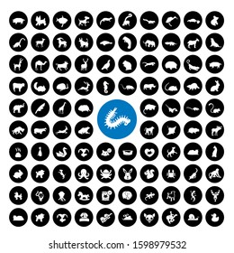 97 animal white icon vector set