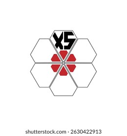 981 diamond shape alphabet letter pentagon geometric educational learning flower logo X S